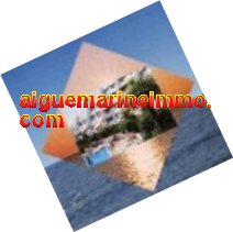 referencement google